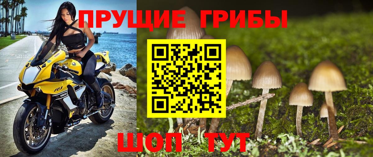 Галлюциногенные грибы Psilocybine cubensis Воткинск