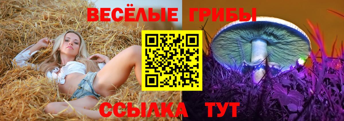 Воткинск  Псилоцибиновые грибы ЛСД  Вход с VPN 